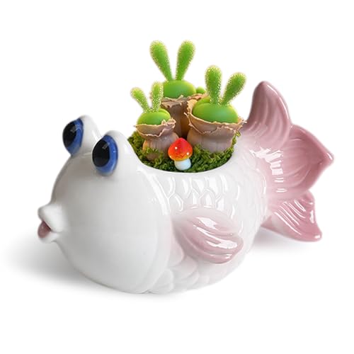 DIYOMR Tropical Fish Ceramic Planter, 5.8 Small Flower Pot Decoration Desktop Windowsill Decor,Indoor Outdoor Succulent Cactus Pot for Plant Lover (Pink) - color: Pink
