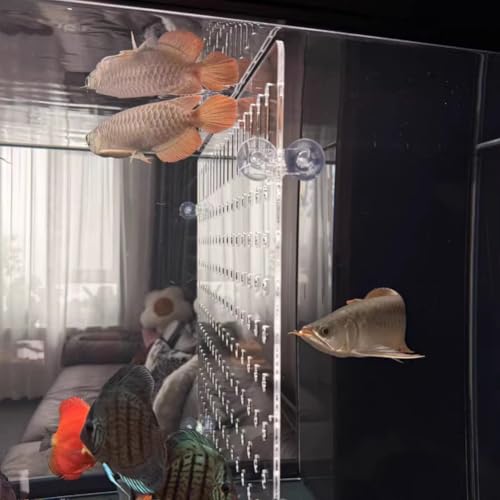 Rygcrud Acrylic Aquarium Divider Kit, 5mm Thick Panel with Suction Cups, Fish Tank Separator for Fighting, Divide Space(64x65cm)