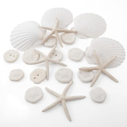 JQAQJU 20PCS Sea Shells for Crafting 3-4", Mini Sand Dollars Starfish Decor for Crafts, Scallop Shells for Cooking, Seashells for Crafts DIY Beach Theme Party Candle Decor Wedding Fish Tank