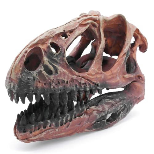 Fish Hideout Aquarium Décor Decorations Dinosaur Skull Fish Tank Decor Cave Dinosaur Skull Betta Animal Halloween Large Tarantula Reptile Bones Snake for Terrarium Ornament
