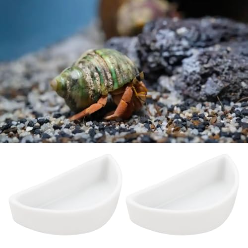ECSiNG 6PCS Hermit Crab Mini Ceramic Dish 4.21x2x1.05cm Semicircle Shape Reptile Food Bowl for Spider Hermit Crab Tarantula Millipede White