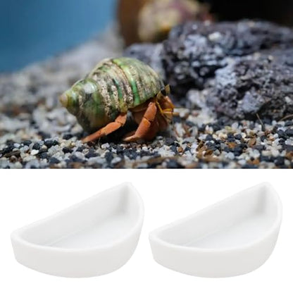 ECSiNG 6PCS Hermit Crab Mini Ceramic Dish 4.21x2x1.05cm Semicircle Shape Reptile Food Bowl for Spider Hermit Crab Tarantula Millipede White