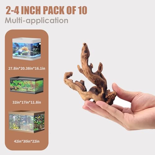 Natural Small Aquarium Driftwood for Fish Tanks & Reptile Terrariums – Safe Fish Tank Decorations, Unique Twisted Branches 10-Piece 2-4 Inch Low Tannin, Easy to Sink - size: Mopani Driftwood 2-4" (Pack of 10)