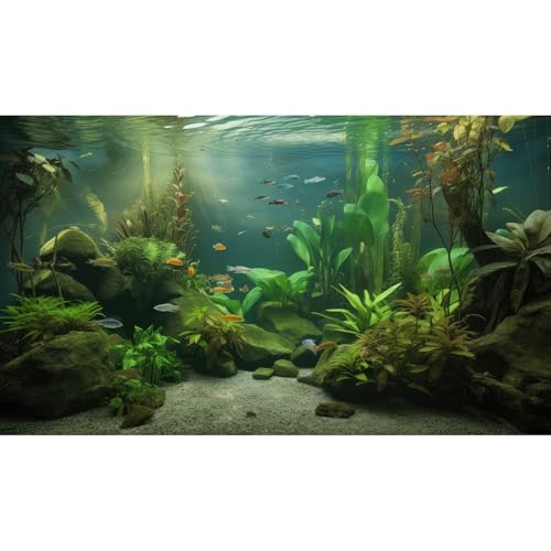 Under The Sea Aquarium Background Underwater Aquatic Plants Fish Tank Background Tropical Fish Rock with Moss Terrarium Background Undersea Green Grass with Sunbeams Terrarium Background 24x12in - color: Green Grey, size: 24(W)x12(H)inches/ 60(W)*30cm(H)