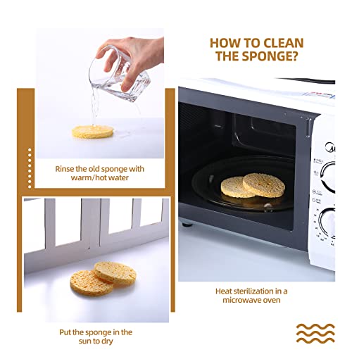 12 Pieces Hermit Crab Sea Sponges - Unbleached Supplies for Maintaining Tank Humidity - Pet Accessories Providing Nutrients