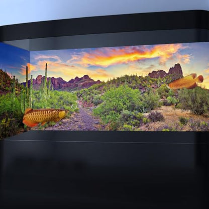 Reptile Habitat Background Rock Blue Sky Oasis Cactus Sunset Desert Terrarium Background 48X24IN with 8 EVA Double-Sided Tape - size: 48X24in/120X60cm