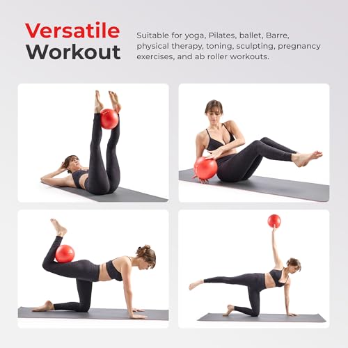 Sunny Health & Fitness Premium Anti-Burst Exercise & Stability Ball - size: 9" (23cm)