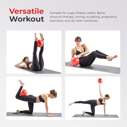 Sunny Health & Fitness Premium Anti-Burst Exercise & Stability Ball - size: 9" (23cm)