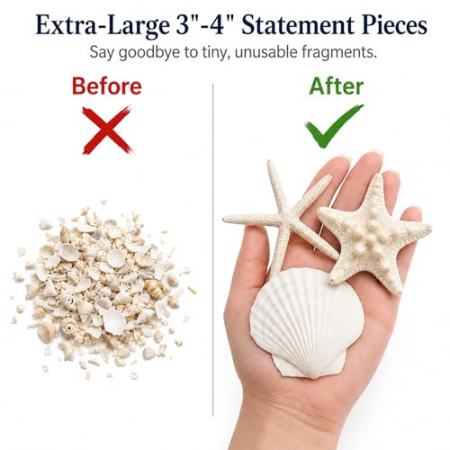 24 Pcs Starfish and Scallop Shells with Sea Glass, 3"-4" Large Natural Sea Shells for Crafts and Decorating, Seashell Decor for Beach Party, Wedding, Vase Filler, Christmas, Coastal Home DIY