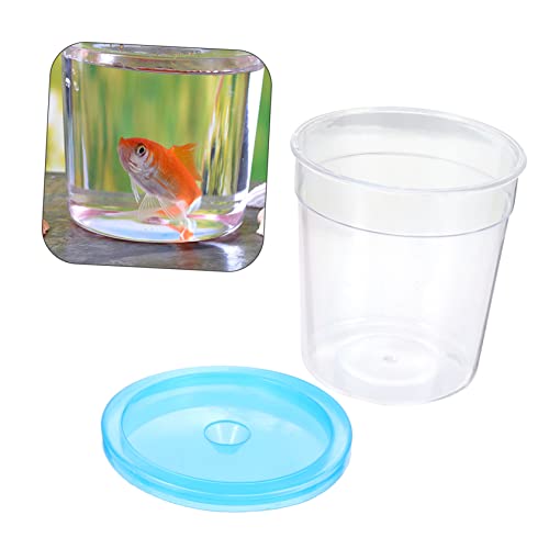 1Pc Mini Reptile Feeding Box Transparent Cup for Turtles Betta Fish Jellyfish for Spiders Pets Practical Design with Breathing for Transporting