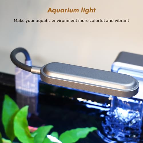 Glass Fish Tank, 2.8 Gallon Betta Fish Tank Aquarium Starter Kit with Filter and Light, Small Desktop Aquarium Kit for Betta, Goldfish, Small Fish or shrimg