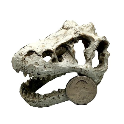 Mini T-Rex Skull Aquarium & Reptile Tank Decor – Dinosaur Fossil Hideout for Fish, Geckos, Hermit Crabs, and Terrariums – Small Resin Jurassic Decoration for Aquascape, Vivarium, or Pet Habitat