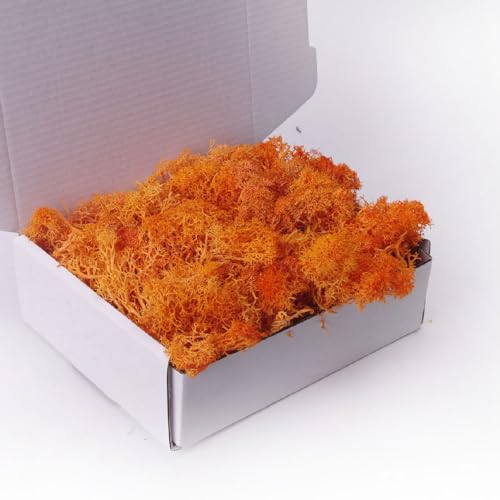 ACADOIT Preserved Moss-3.5 OZ Moss for Crafts Faux Moss Decor Natural Green Moss for Art Wall Florist Decor(Orange 3.5 OZ) - color: orange, size: 3.5OZ