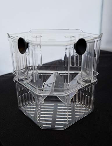 Aquarium Fish Breeder Box for Hatchery, Isolator, Injured Fish, Shrimp Clownfish (BX-007) - size: BX-007