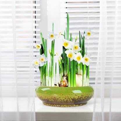 ARTKETTY Lotus Bowl Planter - 7.3 Inch Large Lotus Flower Bowl for Water Plants, Ceramic Hydroponic Planter Water Lily Bowl for Planting Aquatic and Indoor Succulent Plants and Bonsai - color: Green