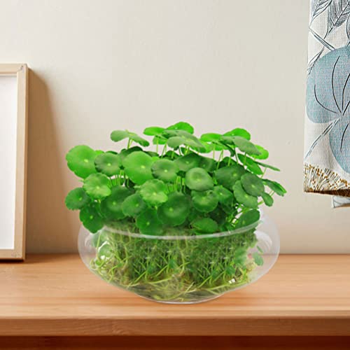 GANAZONO Glass Fish Bowl 9.84X9.84X3.93In Clear Desktop Aquarium Tank Hydroponic Plant Pot for Home Office Garden Wedding Decoration