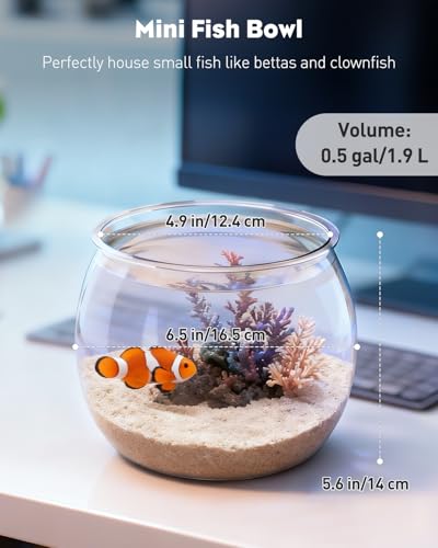 Pawfly 0.5 Gallon Mini Plastic Fish Bowl, Unbreakable Small Fishbowl Desktop Aquarium, Clear Round Plastic Fish Tank for Small Fish, Shatterproof Betta Fish Tank Goldfish Bowl, Decorative Globe Vase - size: 0.5 Gallon Fish Bowl