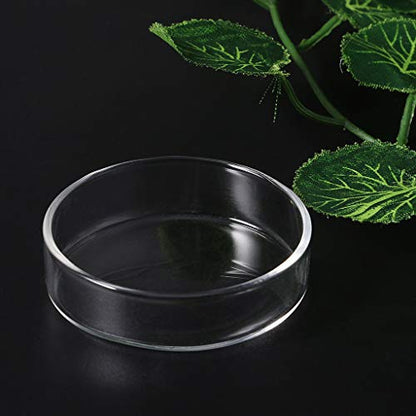 Ornamental Fish Feeding Bowl Clear Glass Shrimp Food Round Dish Supplies for Aquarium Fish for Fedding Fishes Plate