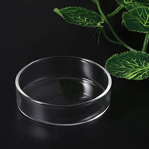 Ornamental Fish Feeding Bowl Clear Snacks Candy Nut Storage Dish for Watching Eating Snack Storage Dish