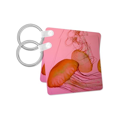 3dRose, Shedd Aquarium, Chicago, Illinois, USA - US14 CMI0009 - Cindy Miller Hopkins, Key Chain - size: set of 2 Key Chains