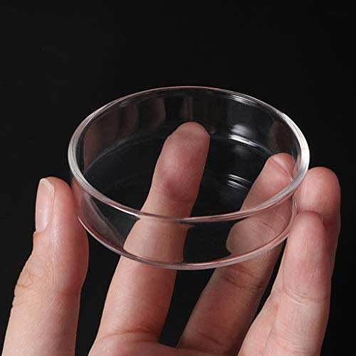 Ornamental Fish Feeding Bowl Clear Snacks Candy Nut Storage Dish for Watching Eating Snack Storage Dish