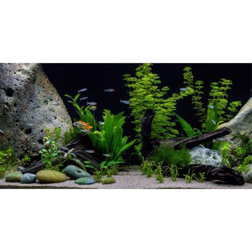 AWERT Vinyl Underwater Aquatic Plant Fish Tank Background Stone River Bed & Lake Aquarium Background 24x12 inches