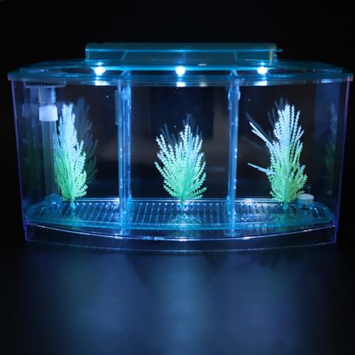 AYNEFY Mini Fish Breeding Box,Aquarium Fish LED Acrylic Three Divisions Small Fishes Isolation Incubator Breeding Hatchery for Guppy Shrimp Fishes (Blue)