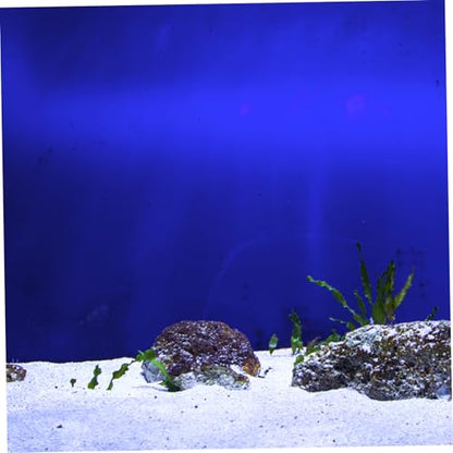 Toddmomy Fish Tank Background: Aquarium Background Poster Adhesive Fish Tank Backdrop Sticker Wallpaper for Underwater Views DIY Aquarium Decoration