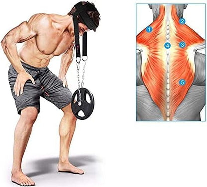 Neck Harness for Weight Lifting with Heavy Duty Chain Neck Training Harness