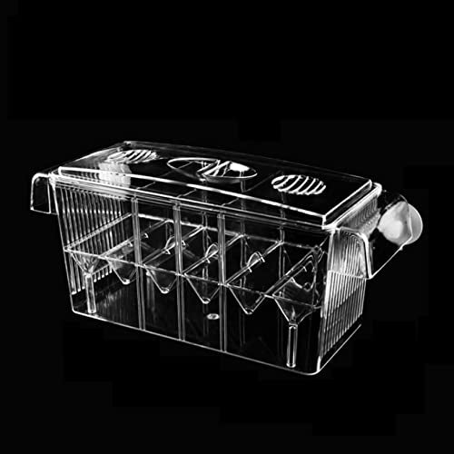 Fish Breeding Box for Aquarium, Acrylic Plastic Breeder Box for Fish Tank, Baby Snails Fishes Shrimp Clownfish Nursery Container, Fish Hatchery Incubator with Suction Cups
