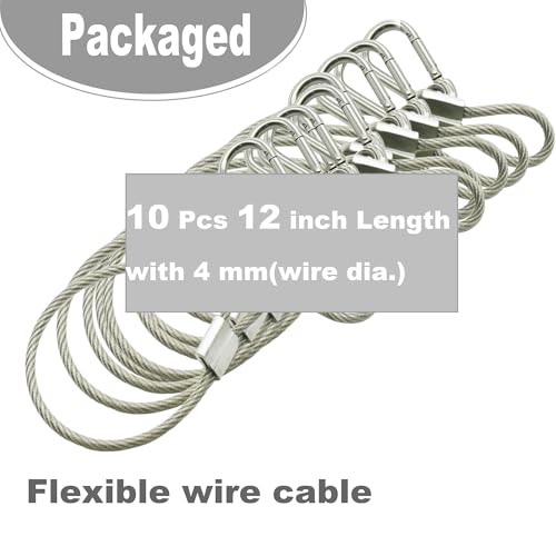 10 pcs 12 inch Vinyl Cover Coated Stainless Steel Wire Rope Lanyard Cable Tether Safety Strap with Hooks and 2 Loops (4mm Thickness), Clear - color: 10pcs_Clear, size: 12"/30cm