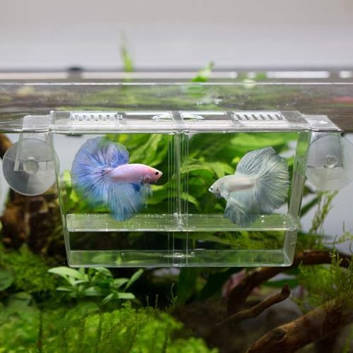 Breeder Box for Fish Tank Multi Compartment Fish Isolation Box for Aquarium with Suction Cup & Feeding Port Transparent ABS Fish Breeding Box for Baby Fish, Shrimps, Fish Isolation Box