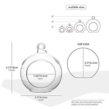 WGV Hanging Terrarium Globe, Width 2.5", Height 3", DIY Air Succulent Planter, Clear Glass Vase Orb with Flat Bottom, Candle Holder for Windowsill Outdoor Garden Decor, 6 Pieces Bulk - size: 2.5" Flat Bottom