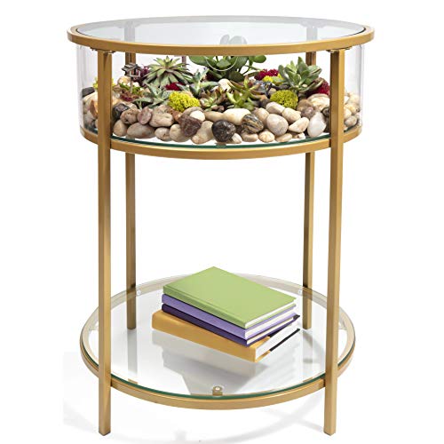 D'Eco Round Terrarium Display End Table w Reinforced Glass in Gold Iron - 20" Diameter, 26.5" Height- Indoor Decor for Any Home or Office- DIY Garden for Succulents, Moss, Fern- Gift for Plant Lovers - color: Round