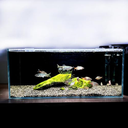 3.5 Gallon Fish Tank 30 * 30 * 15CM- Low Iron Glass Aquarium with Non-Slip Mat, Background Paper & Corner Protectors | Betta, Turtle, Shrimp Habitat Kit | Beginner Friendly Small Aquarium - size: 30*30*15CM