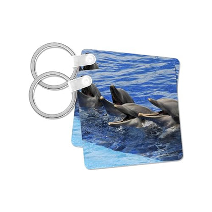 3dRose, Four dolphins on surface of the water at Oceanographic Aquarium in Valencia, Spain, Key Chain