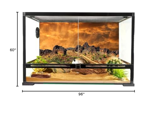 YongFoto Polyester Mexican Desert Sand Land Photography Background Desert View Cactus Green Bush Shrub Rocky Photo Backdrop 36x14 inches Dragon Tank Reptile Habitat Background Poster - color: Yellow-3, size: 36x14 IN