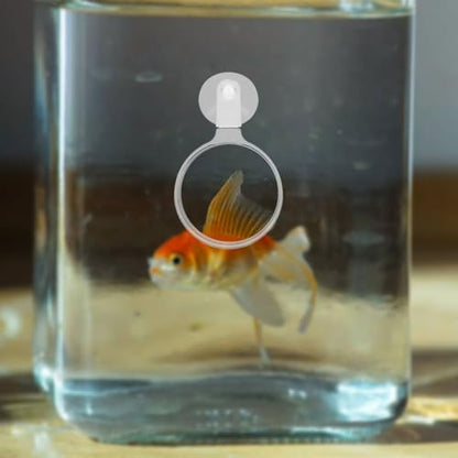 FOMIYES 4pcs Acrylic Fish Tank Glass with Cup for Observing Betta Fish Microlandscapes Plants and Spiders for Seniors and