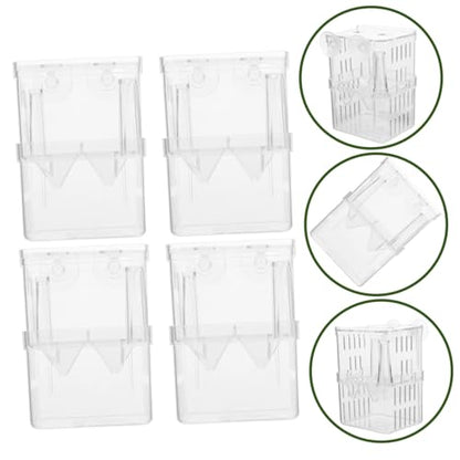 TOYANDONA 4Pcs Fish Breeding Box Aquarium Isolation Container for Safe Hatching and Acclimation Easy Clean Compact with Suction Cups for Betta Guppy and Shrimp