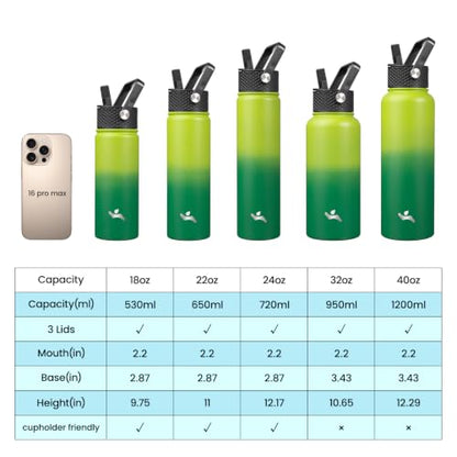 Konokyo 22 oz Insulated Stainless Steel Water Bottle with Straw Lid - color: Bamboo Grove, size: 22 Ounces