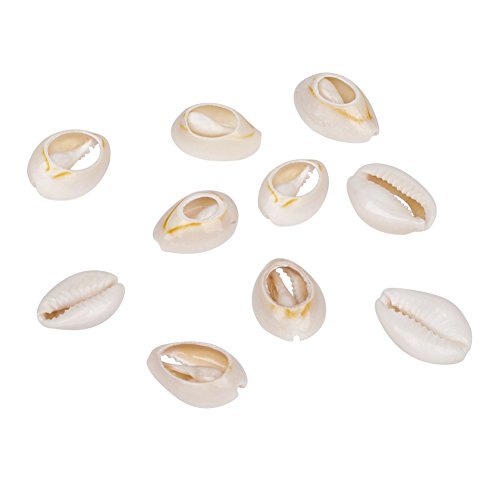 Craftdady 18-20mm Natural Spiral Sea Shell About 340Pcs Undrilled Cowrie Beach Seashells for Summer Ocean Jewelry Making Fish Tank Vase Filler Decor - color: PapayaWhip, 18-20mm