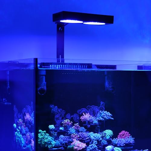 NICREW NavaReef 135 Reef LED Light, 135W Reef Aquarium Lighting for LPS/SPS Corals and Saltwater Fish Tanks, Built-in Timer, Blue Focused Spectrum - size: NavaReef 135