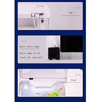 1.2Gallon Small Fish Tank Office USB Aquarium LED Light with Filter (Include Sand and Tiny Buddha) for Small Fish and Shrimp