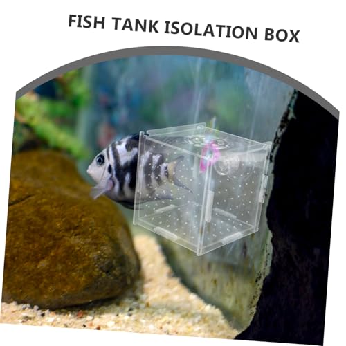 VANZACK Aquarium Fish Breeding Box Acrylic Isolation Tank for Fish and Shrimp Dual-Purpose Incubator with Cups Compact Design for Betta Acclimation and Separation