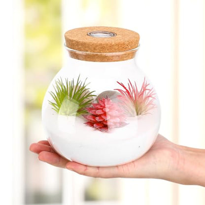 Hemobllo Fish Tank Micro Landscape Bottle 5.51In Transparent Borosilicate Glass Ecological Bottle with Integrated Led Light for Home Office Desk Decoration - size: 14X13X13cm