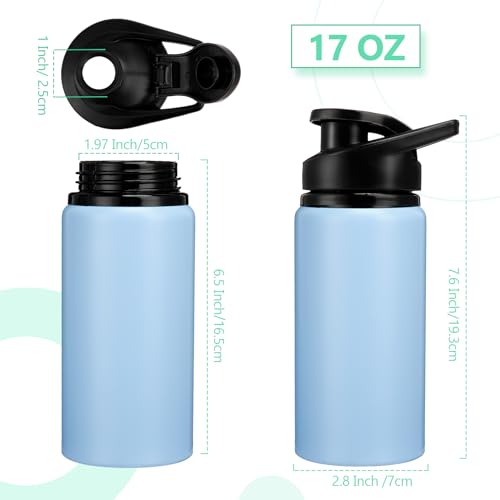 Domensi Aluminum Water Bottle Bulk - color: Rainbow Colors, size: 17oz