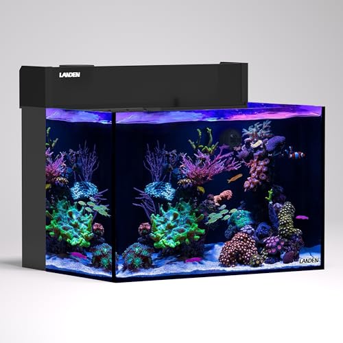 EasyCube EC60K AIO Marine Aquarium Kit,26.25 Gallon Rimless Saltwater Reef Tank with Integrated Back Filter, Protein Skimmer Return Pump Filter Sock ATO Reservoir–Opti-White Glass Reef System - size: 60 cm