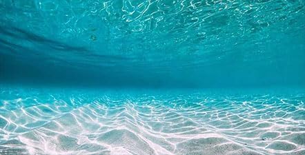 48X18IN Natural Undersea Aquarium Background, Undersea Beach Fish Tank Background, with 8 EVA Double-Sided Tape - color: Sea, size: 48X18in/120X45cm