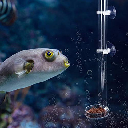 Aquarium Feeder, Acrylic Transparent Fish Feeding Tube with Tray Aquarium Fish Shrimp Feeder with Fixing Bracket Suction Cups(20cm)