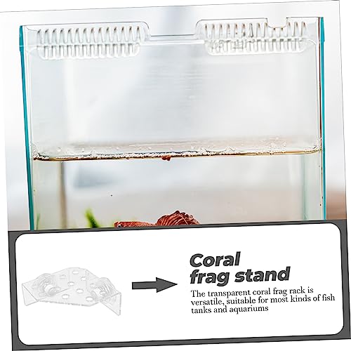 Toddmomy Coral Rack Stand for Fish Tank Acrylic Coral Holder for Aquatic Displays Wear-Resistant Versatile Design Aquarium Supply